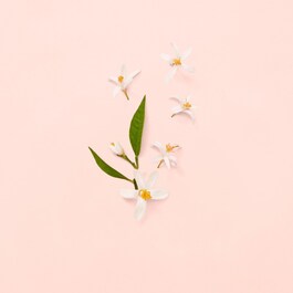 GUCCI Gucci Bloom - Eau de Toilette Spray
