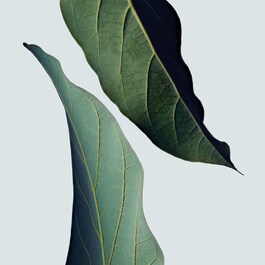 Botanical Repair™ Strengthening Leave-in - Trattamento per capelli