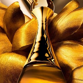 J'adore L'Or - Profumo dalle note floreali