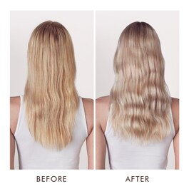 Color care - Shampoo violet blond parfait