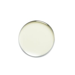 ESSENCE ABSOLUE NOURISHING PROTECTIVE OIL - Capelli secchi
