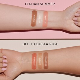 Face palette - Palette Viso