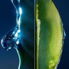Sauvage La Lozione – Lozione tonificante per uomo con estratto di cactus