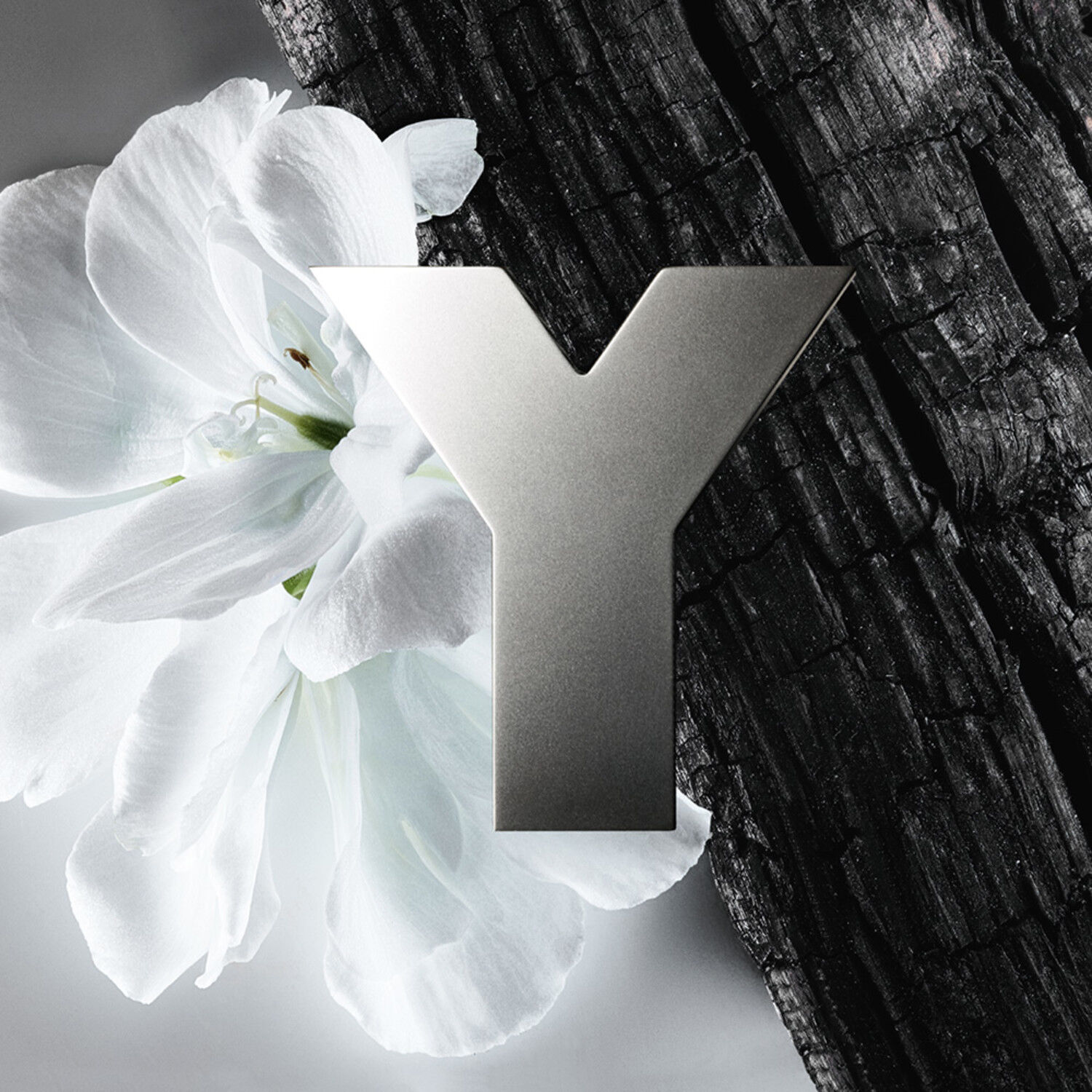 Y Eau de Toilette di YVES SAINT LAURENT ≡ SEPHORA everything starts with yve saint laurent profumo