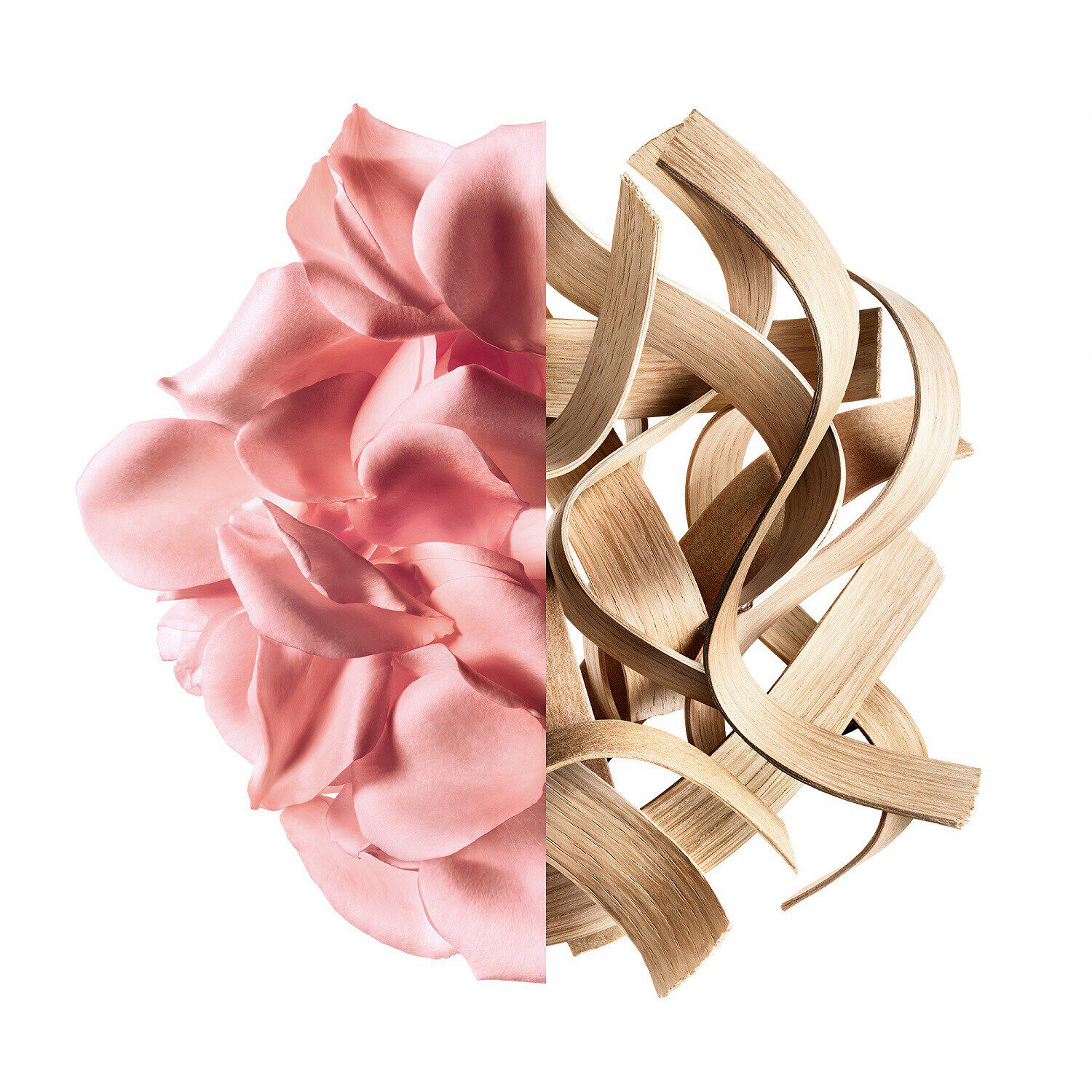 IRRESISTIBLE Rose Velvet - Eau de Parfum NS7171