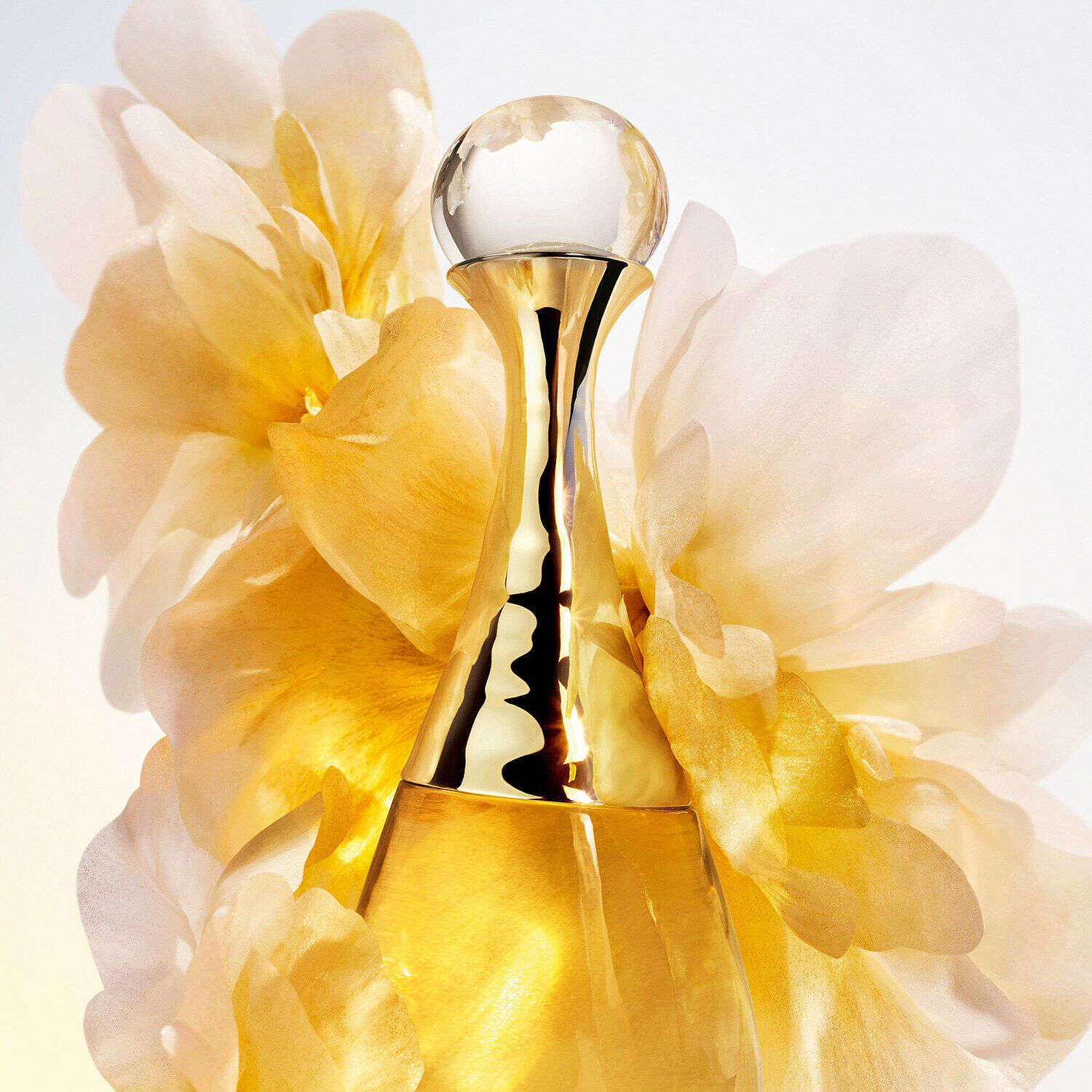 J’adore L’Or – Essenza di profumo NS6349