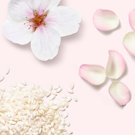 The Ritual of Sakura - Car Perfume Refill