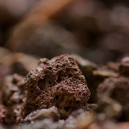 Maschera Mousse di argilla per la riduzione dei pori - Volcanic Rocks ™