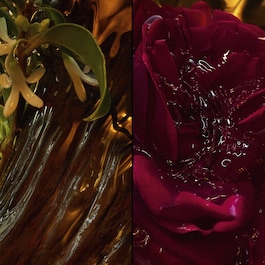 Absolus Allegoria - Rose Amira - Eau de Parfum