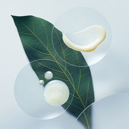 Botanical Repair™ Strengthening - Shampoo Delicato