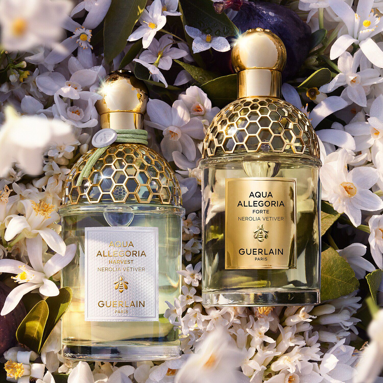 Aqua Allegoria Nerolia Vetiver Harvest - Eau de Toilette NS8724