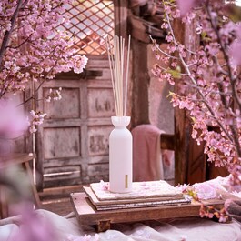 The Ritual of Sakura Fragrance Sticks - Bastoncini Profumati