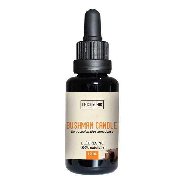 BUSHMAN CANDLE - Oleoresina aromatica, LE SOURCEUR
