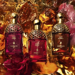 Absolus Allegoria - Rose Amira - Eau de Parfum