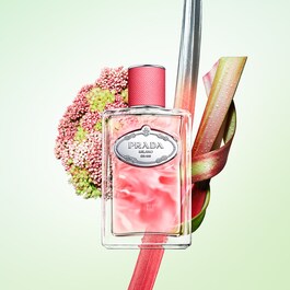 Les Infusions Rhubarbe - Eau de Parfum
