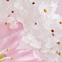 The Ritual of Sakura - Body Scrub