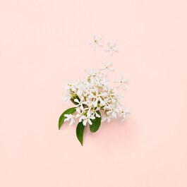 Gucci Bloom - Eau de Parfum Donna