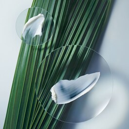 Botanical Repair™ Masque Light - Trattamento intensivo