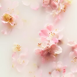 The Ritual of Sakura - spray corpo e capelli 