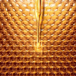 Abeille Royale - Crema di giorno opacizzante 