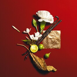Opium - Eau de Toilette