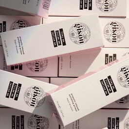 Propolis Polishing Hair Primer - Primer per styling capelli