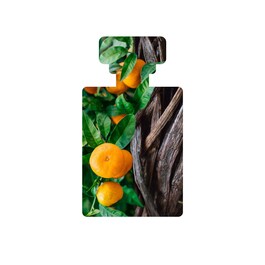 Vanilla Pod - Crema giorno idratante al bacello di vaniglia