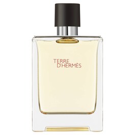 Terre d'Hermès - Eau de toilette