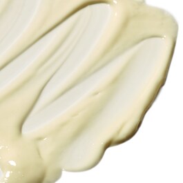 Salvation Jane - Omega Rich Moisturizer Echium & Hyaluronic Acid