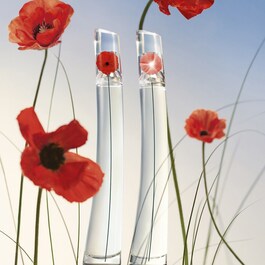 FLOWER BY KENZO - Eau de Toilette