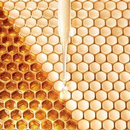 Abeille Royale Eye Cream - Crema Occhi