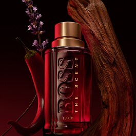 BOSS The Scent Elixir - Parfum Intense Uomo 
