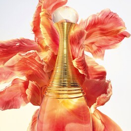 J’adore eau de parfum infinissime – Eau de parfum – Note floreali e legnose