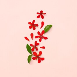 Gucci Bloom - Eau de Parfum Donna