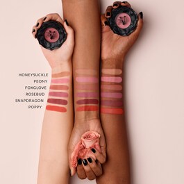 EVERLASTING BLUSH - Blush Viso