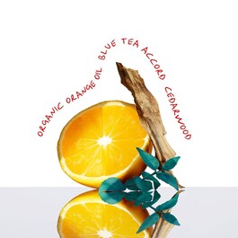 CK Everyone - Eau de Toilette Unisex