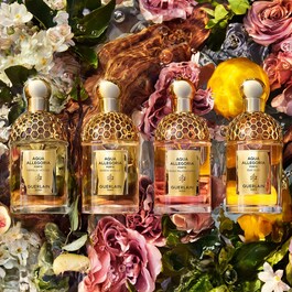 Aqua Allegoria Bosca Vanilla Forte - Eau de Parfum
