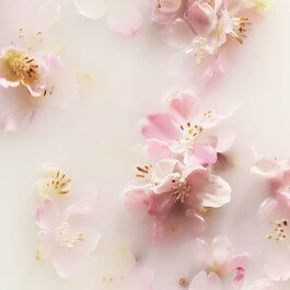 The Ritual of Sakura - Balsamo mani