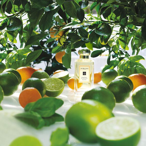 Lime Basil & Mandarin Cologne di JO MALONE LONDON ≡ SEPHORA