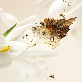 Splendida Patchouli - Eau de parfum