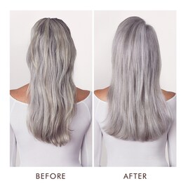 Color care - Shampoo violet blond parfait