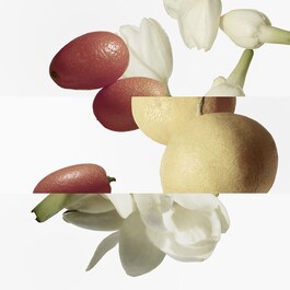 Le Jardin de Monsieur Li - Eau de toilette