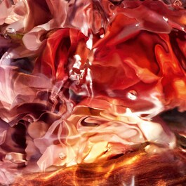 Aqua Allegoria Rosa Palissandro Forte - Eau de Parfum