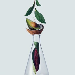 Botanical Repair™ Strengthening - Shampoo Delicato