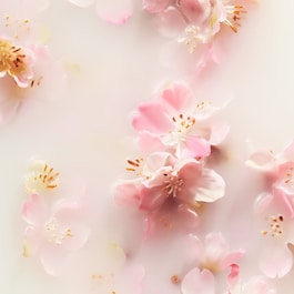 The Ritual of Sakura Mini Fragrance Sticks - Bastoncini Profumati