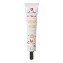 BB Cream al Ginseng, ERBORIAN