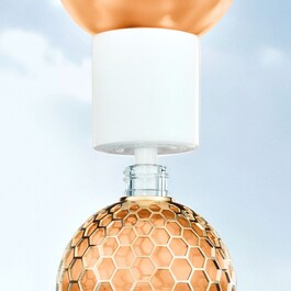 Aqua Allegoria Oud Yuzu Forte - Ricarica Eau de Parfum