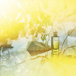 Le Jardin de Monsieur Li - Eau de toilette