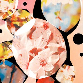 Sakura Cherry Blossom Cologne - Eau de cologne