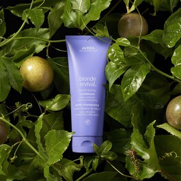 Blonde Revival™ Purple Toning Conditioner - Balsamo per capelli